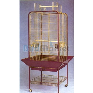 Kλουβι Παπαγάλου Τοrino